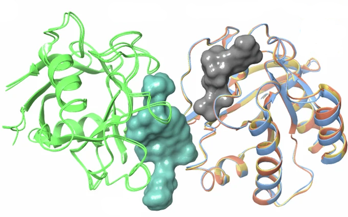 Pharmacological restoration of mutant RAS