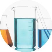 Timeline 1992 development