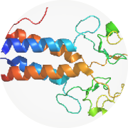 Timeline 1996 discovery